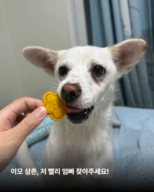 히토의 외박일기 현장 사진