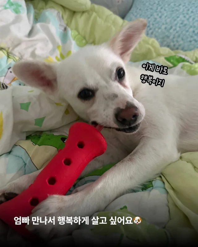 히토의 외박일기 현장 사진