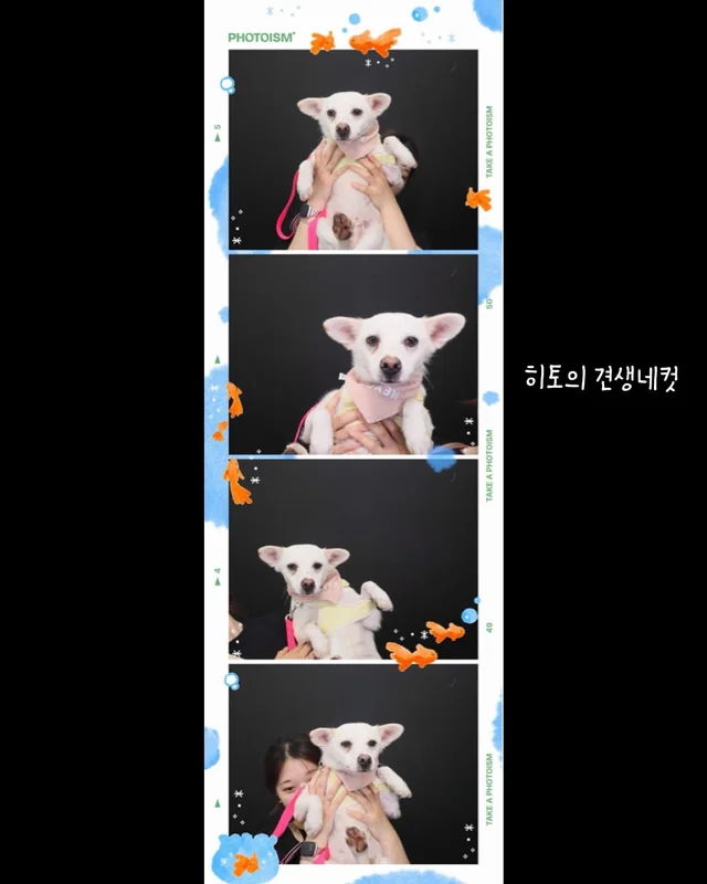 히토의 외박일기 현장 사진