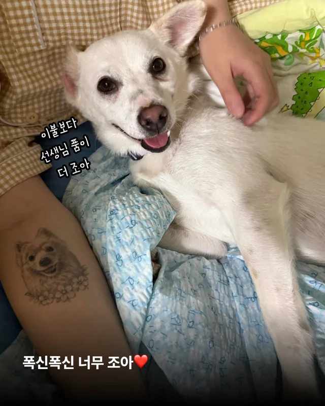 히토의 외박일기 현장 사진