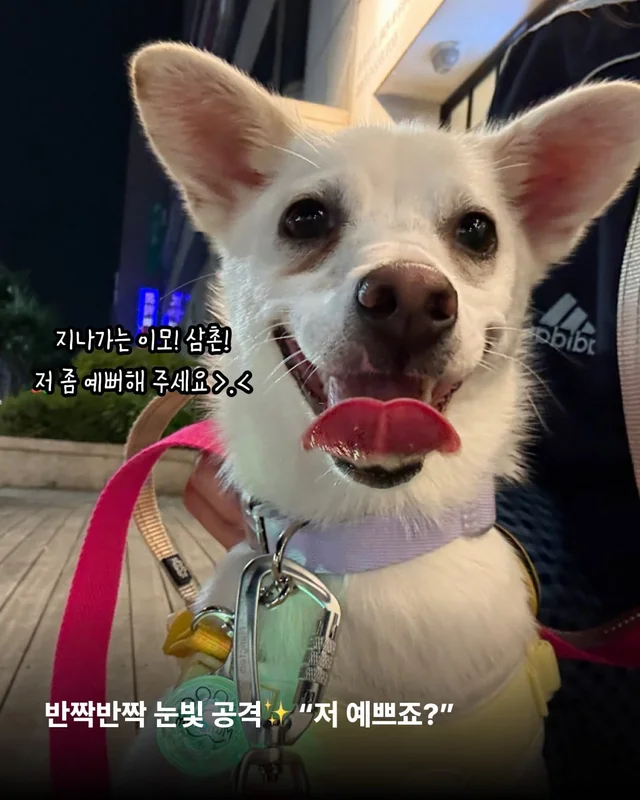 히토의 외박일기 현장 사진