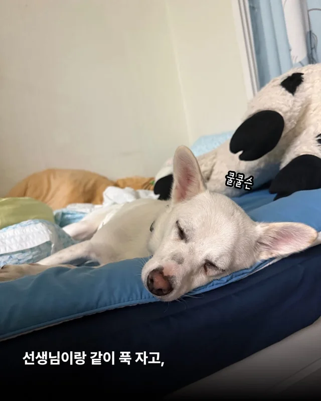 히토의 외박일기 현장 사진