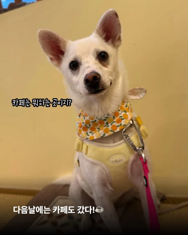 히토의 외박일기 현장 사진
