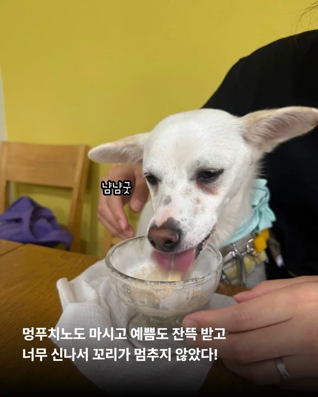 히토의 외박일기 현장 사진