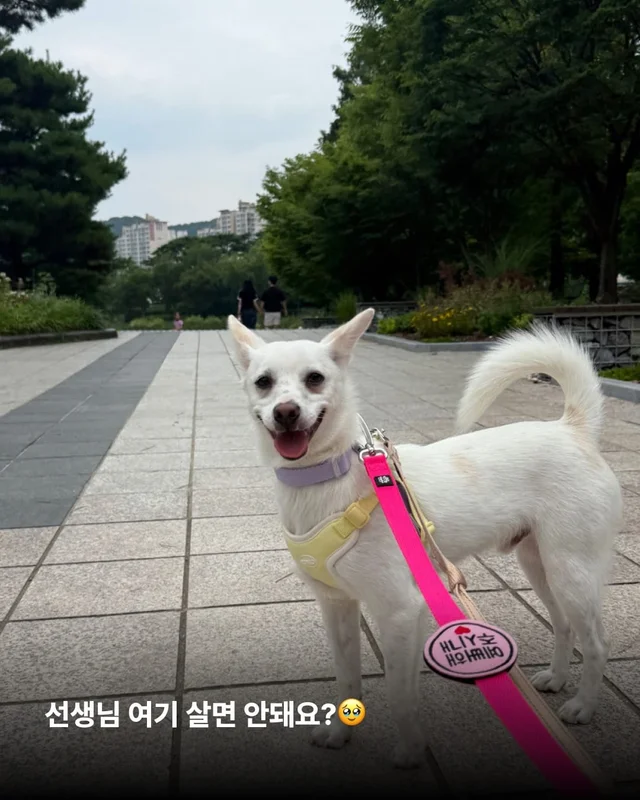 히토의 외박일기 현장 사진