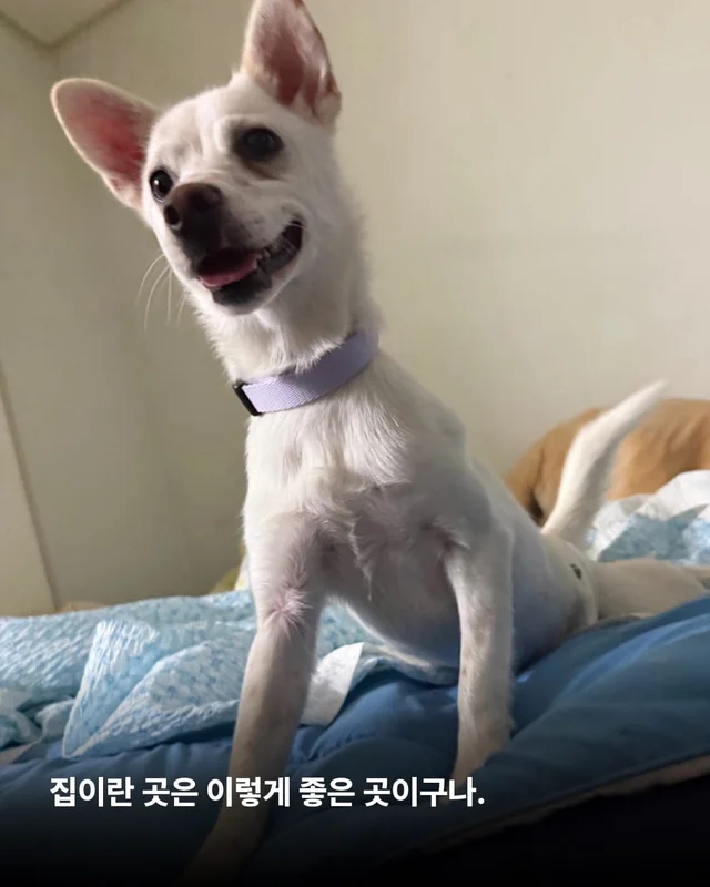 히토의 외박일기 현장 사진