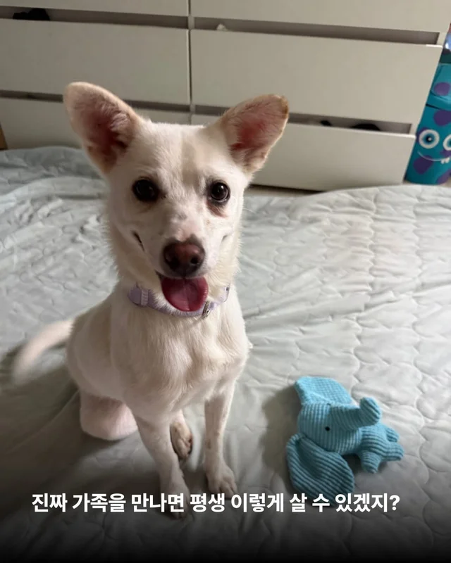 히토의 외박일기 현장 사진