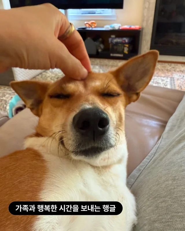 위액트행글, 위액트가나, 위액트다라, 위액트마바 현장 사진