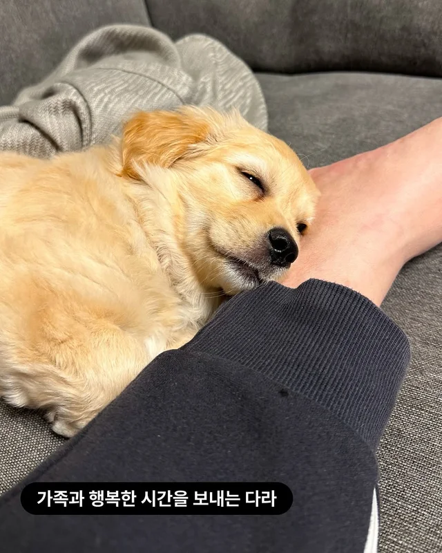 위액트행글, 위액트가나, 위액트다라, 위액트마바 현장 사진