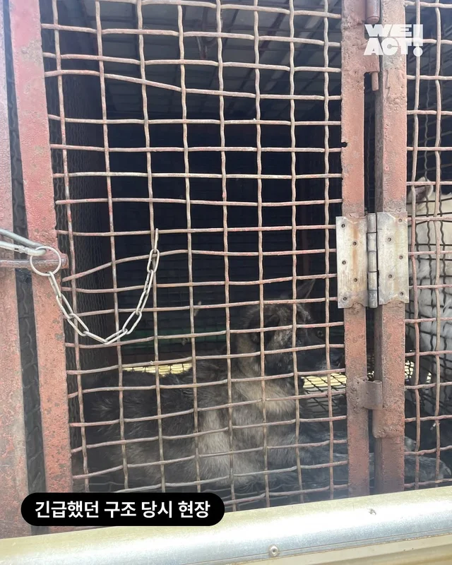위액트 대프니 현장 사진