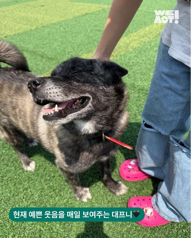 위액트 대프니 현장 사진