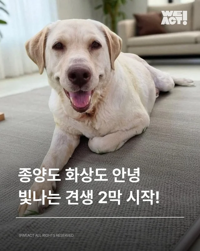 경북산불구조 - 위액트 도라 현장 사진