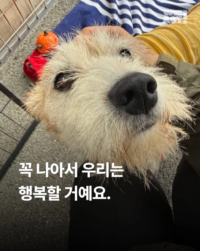 꼭 나아서 우리는 행복할 거예요. 현장 사진