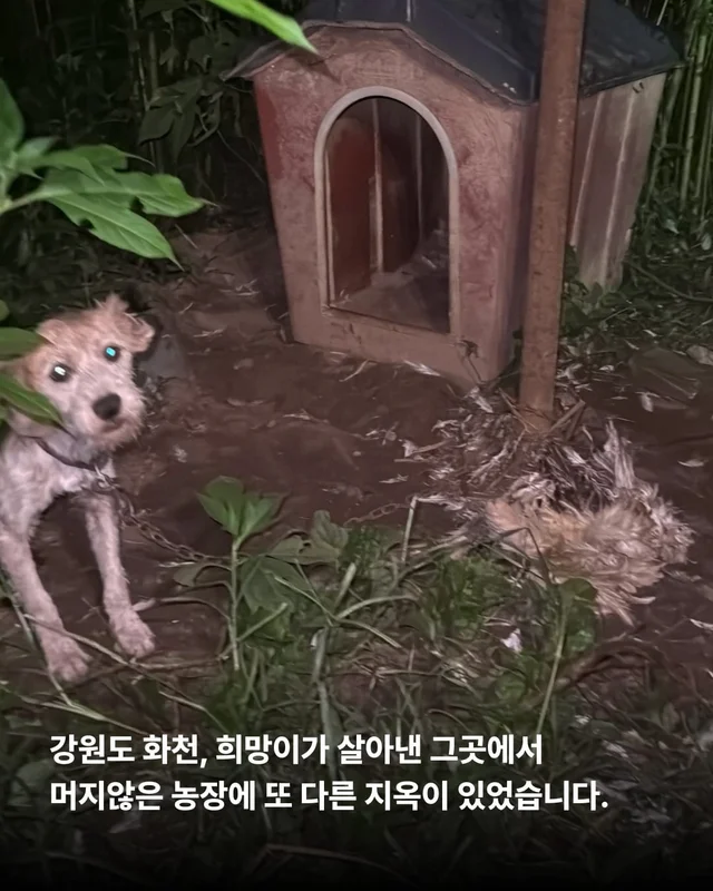 꼭 나아서 우리는 행복할 거예요. 현장 사진