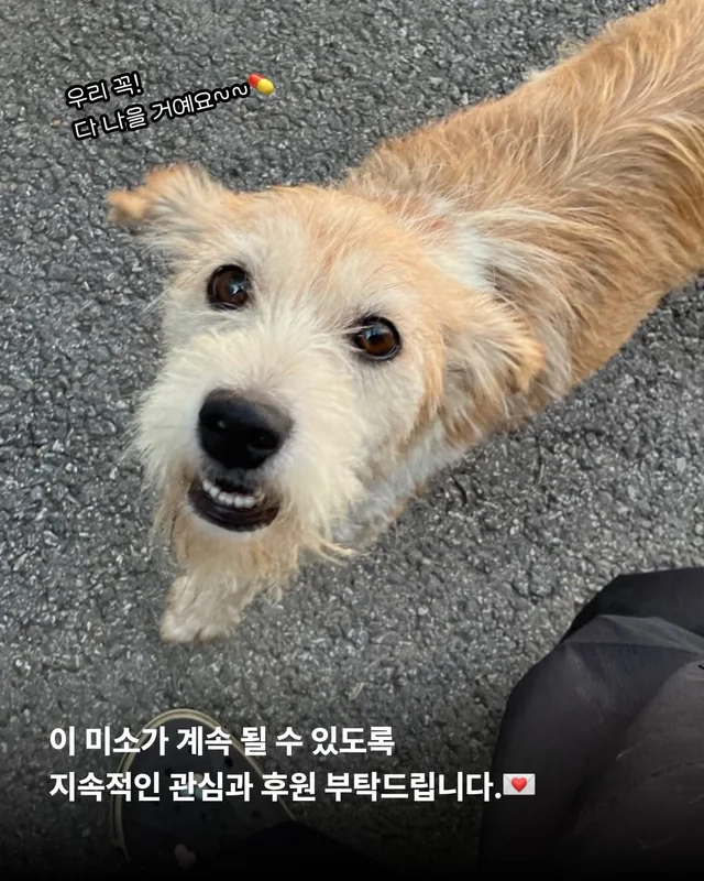 꼭 나아서 우리는 행복할 거예요. 현장 사진