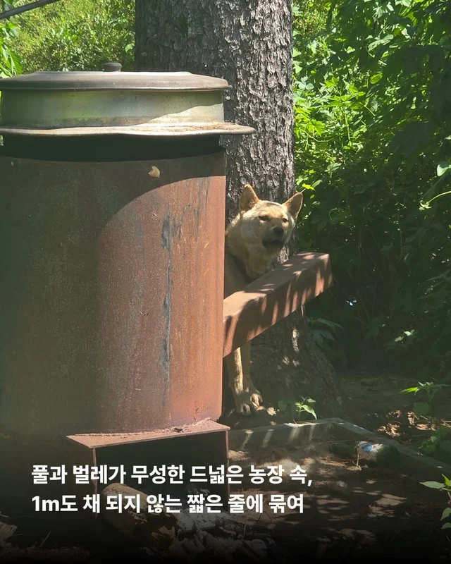 꼭 나아서 우리는 행복할 거예요. 현장 사진