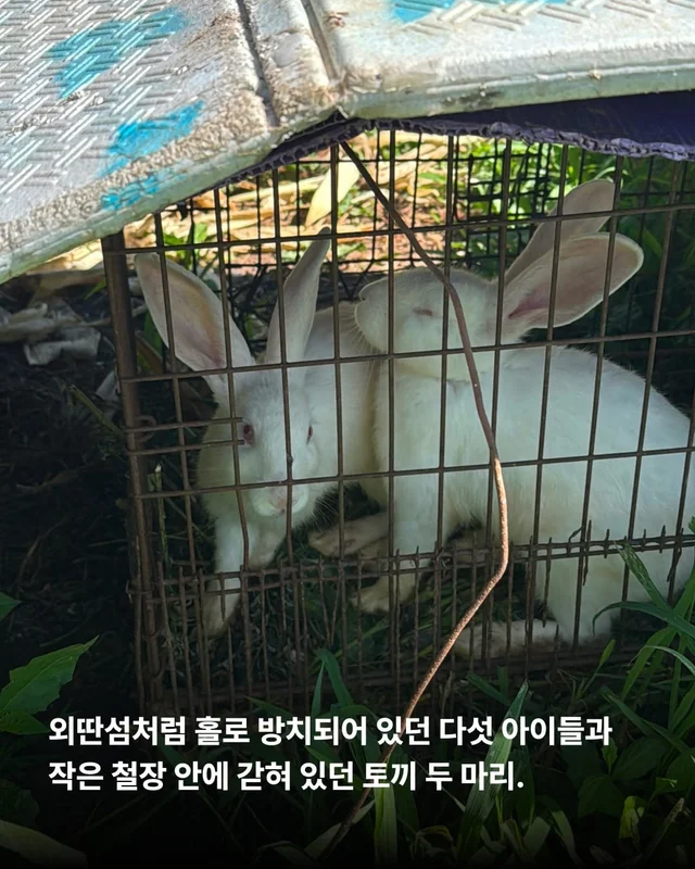 꼭 나아서 우리는 행복할 거예요. 현장 사진