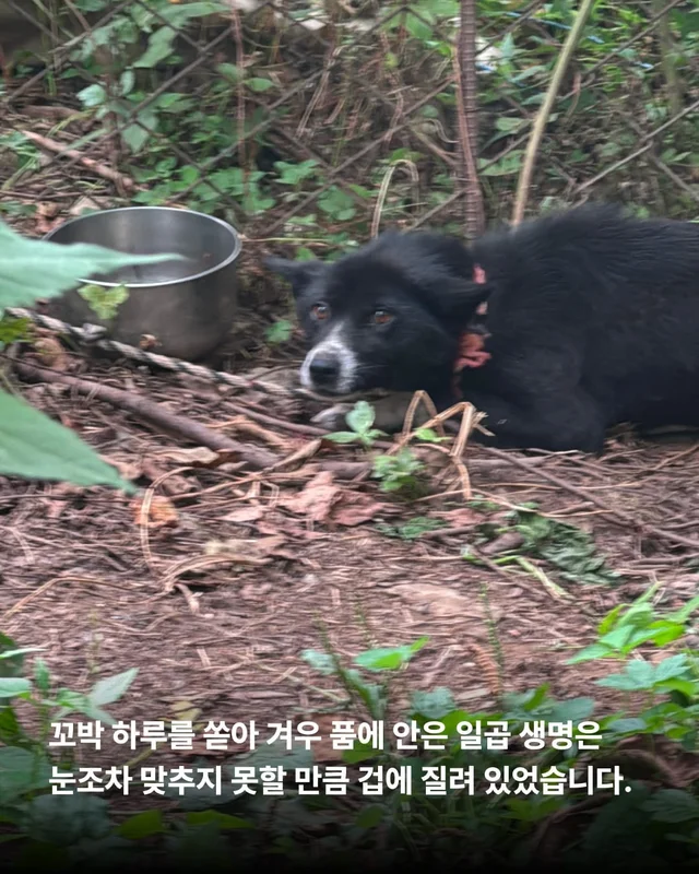 꼭 나아서 우리는 행복할 거예요. 현장 사진