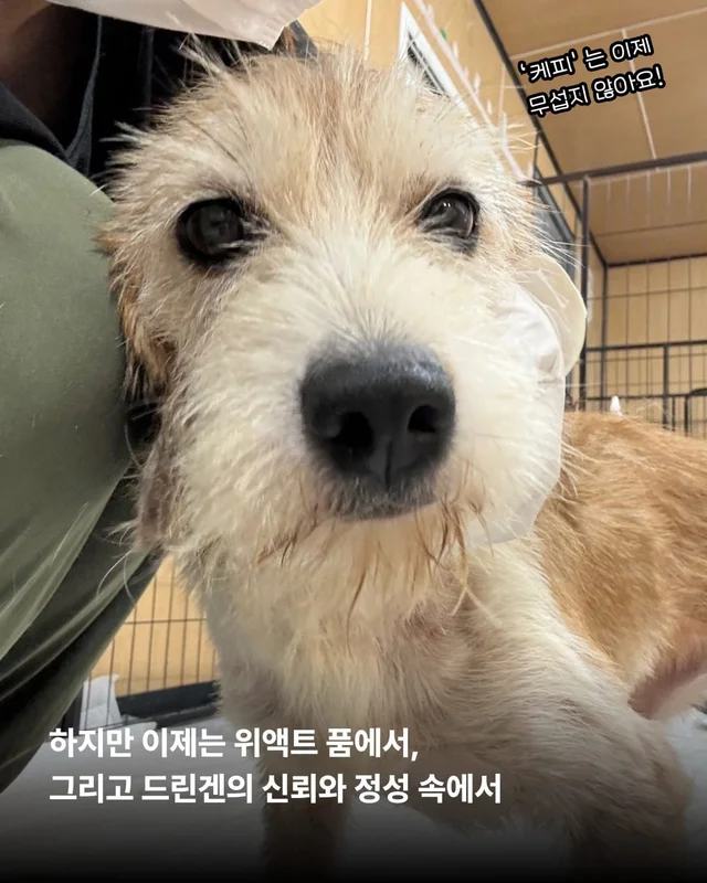 꼭 나아서 우리는 행복할 거예요. 현장 사진