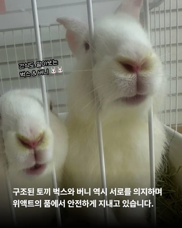 꼭 나아서 우리는 행복할 거예요. 현장 사진