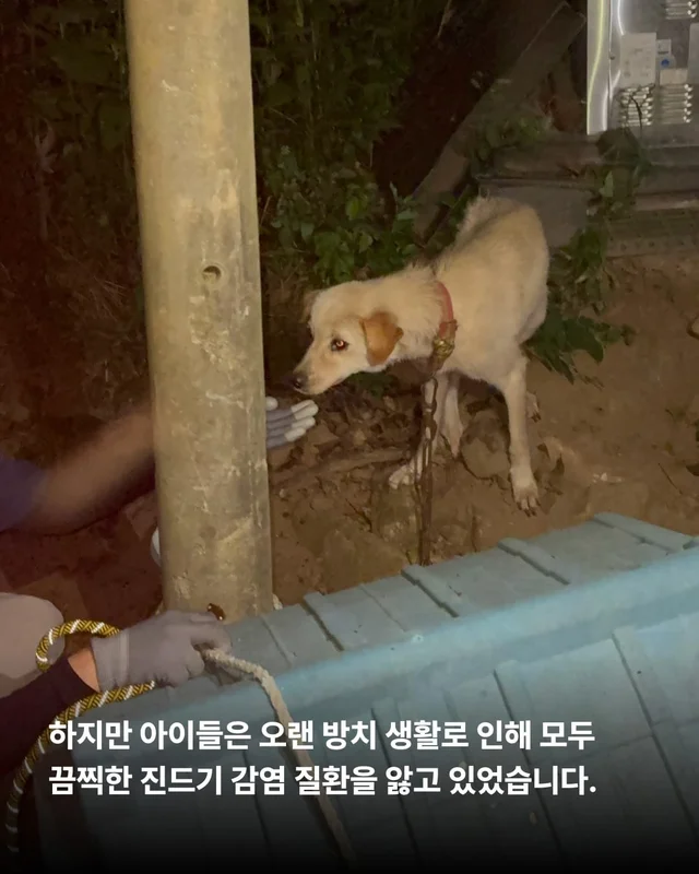 꼭 나아서 우리는 행복할 거예요. 현장 사진