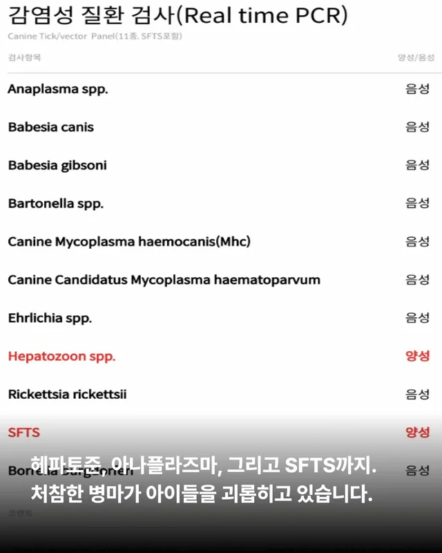 꼭 나아서 우리는 행복할 거예요. 현장 사진