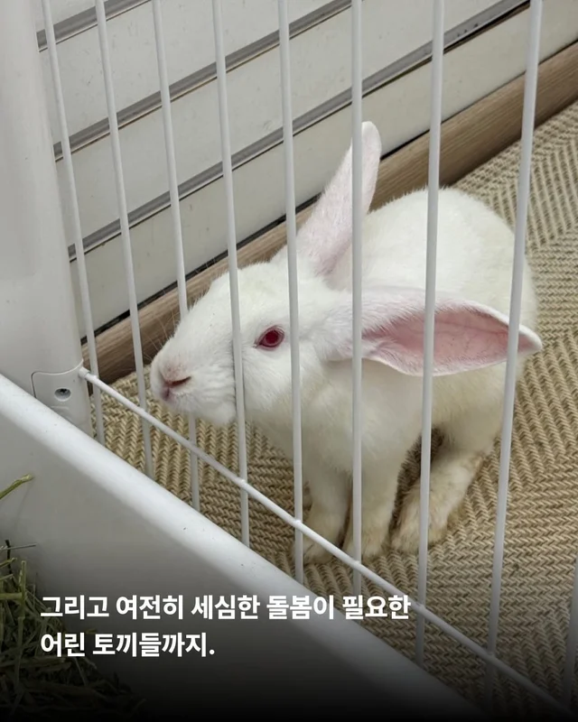 꼭 나아서 우리는 행복할 거예요. 현장 사진