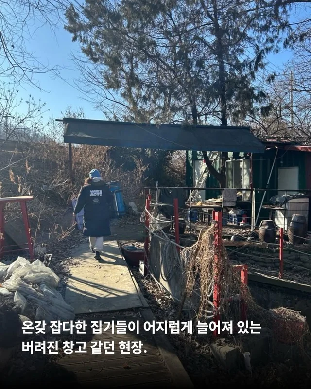 이렇게 키울거라면 왜 키우는건가요 ? 현장 사진