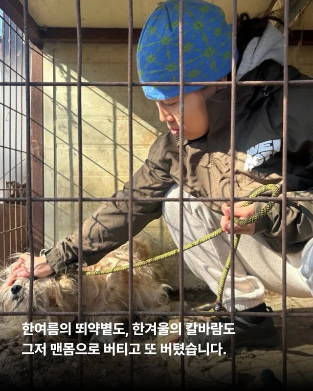 이렇게 키울거라면 왜 키우는건가요 ? 현장 사진