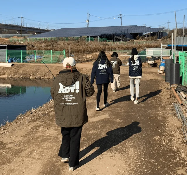화성방치학대견들 현장 사진