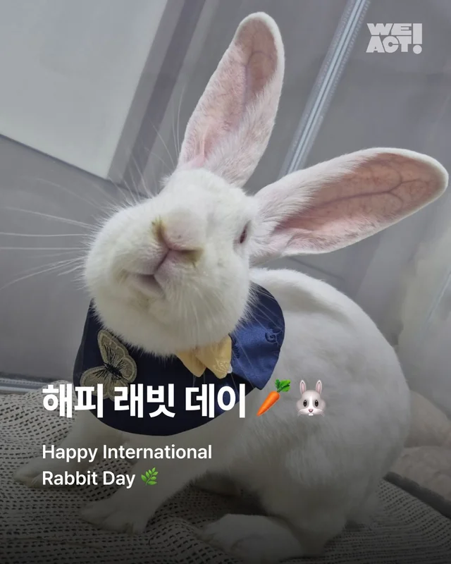 해피래빗데이 현장 사진