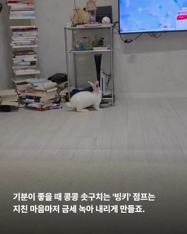 해피래빗데이 현장 사진