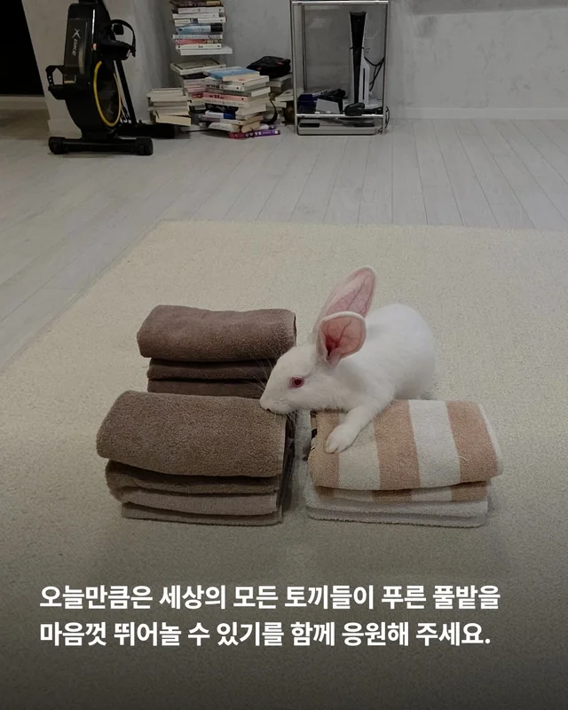 해피래빗데이 현장 사진