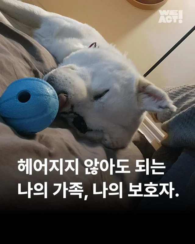 헤어지지 않아도 되는 나의 가족, 나의 보호자. 현장 사진