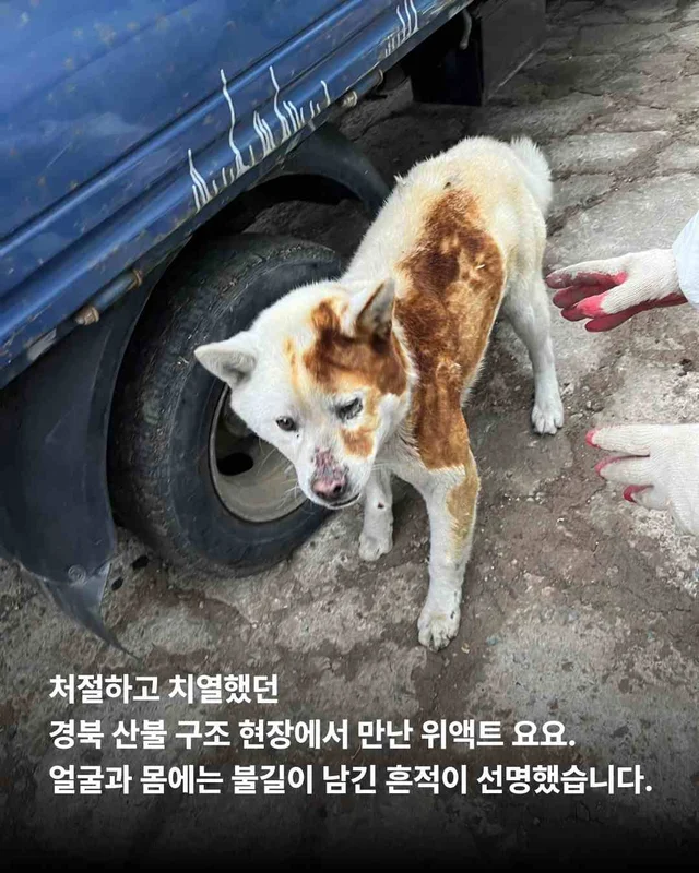 헤어지지 않아도 되는 나의 가족, 나의 보호자. 현장 사진