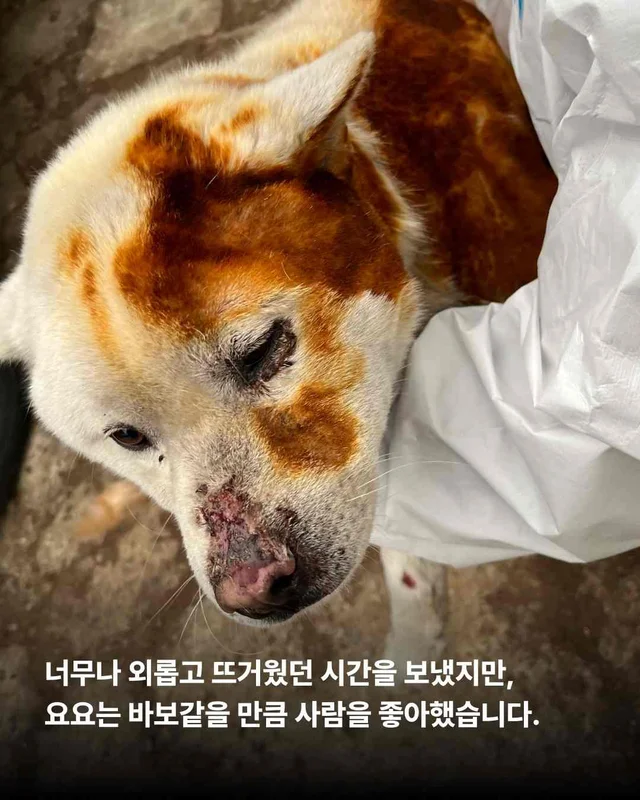 헤어지지 않아도 되는 나의 가족, 나의 보호자. 현장 사진