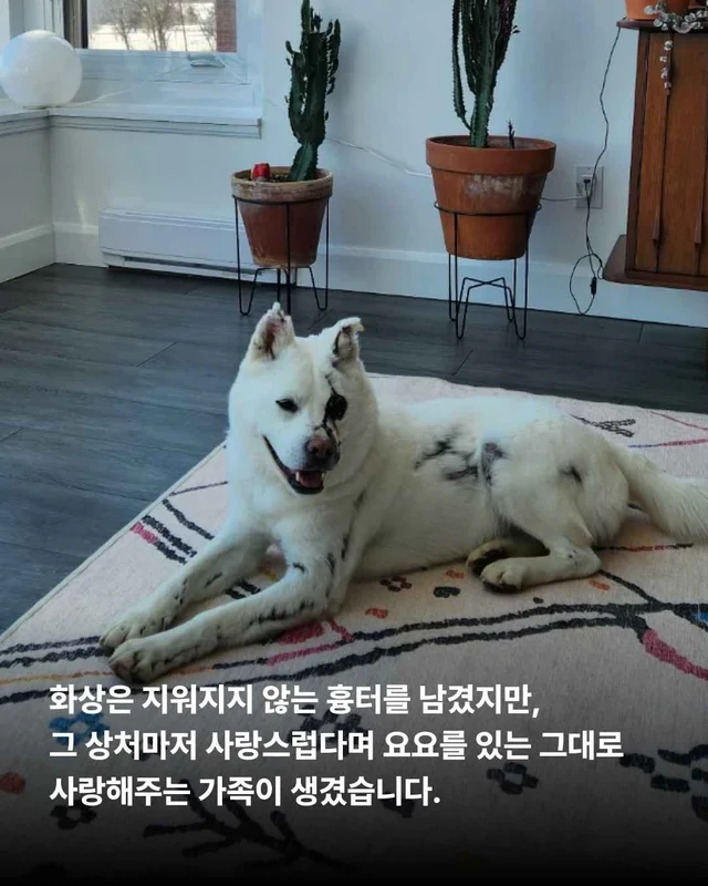 헤어지지 않아도 되는 나의 가족, 나의 보호자. 현장 사진