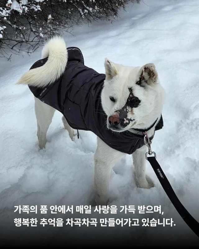 헤어지지 않아도 되는 나의 가족, 나의 보호자. 현장 사진
