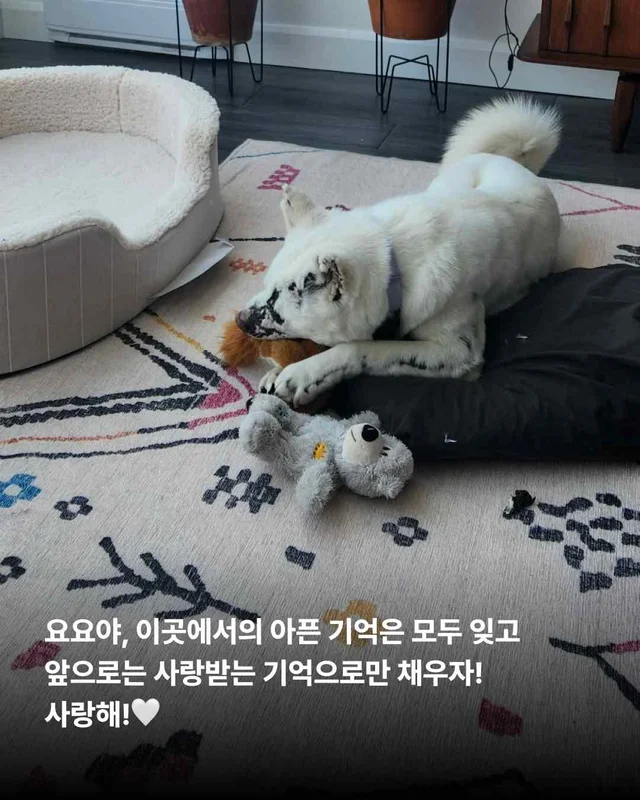 헤어지지 않아도 되는 나의 가족, 나의 보호자. 현장 사진