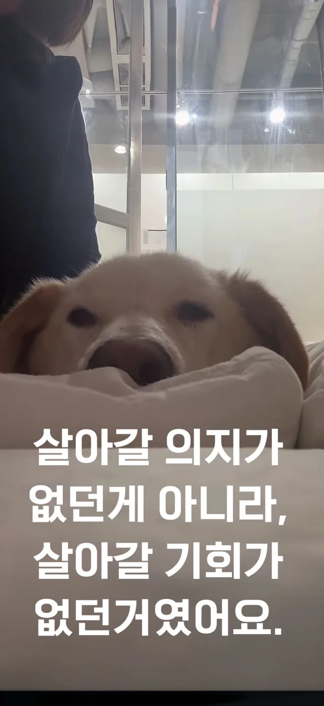 살아갈 의지가 없던게 아니라, 살아갈 기회가 없던 거.. 현장 사진