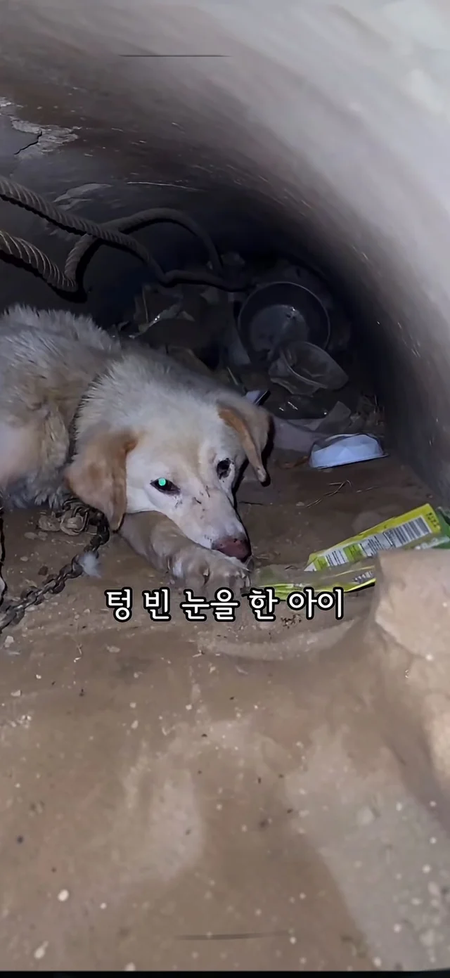 살아갈 의지가 없던게 아니라, 살아갈 기회가 없던 거.. 현장 사진