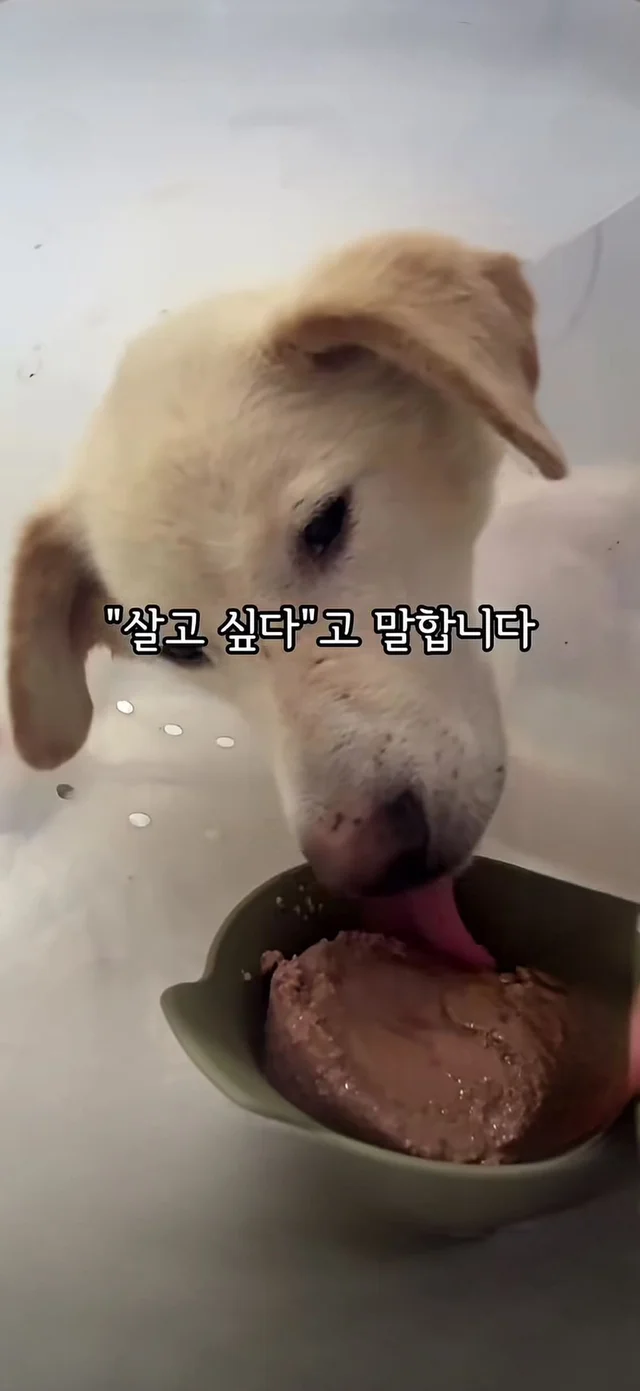 살아갈 의지가 없던게 아니라, 살아갈 기회가 없던 거.. 현장 사진
