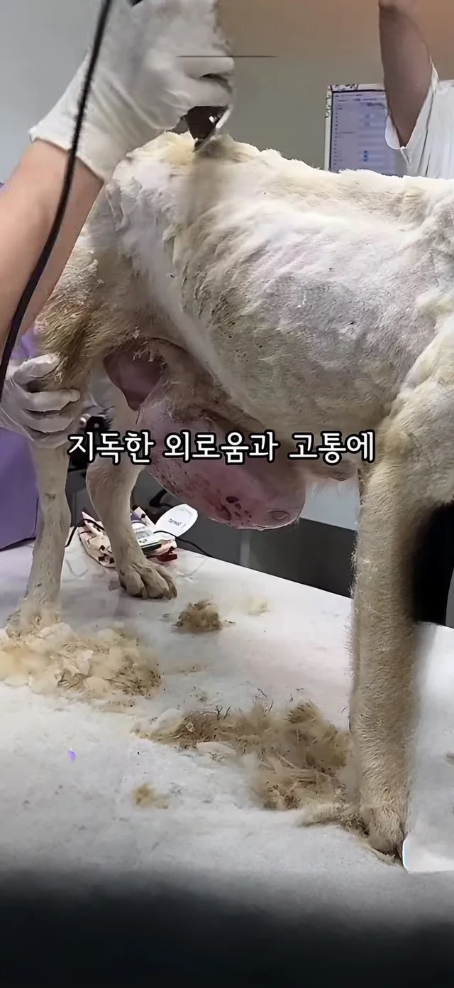 살아갈 의지가 없던게 아니라, 살아갈 기회가 없던 거.. 현장 사진