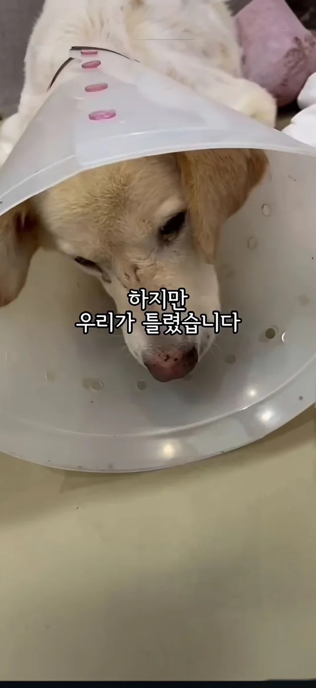 살아갈 의지가 없던게 아니라, 살아갈 기회가 없던 거.. 현장 사진