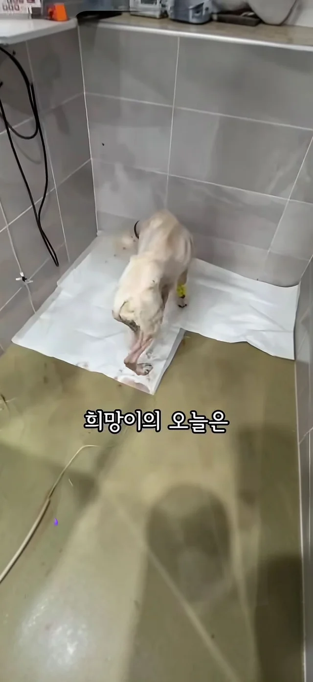 살아갈 의지가 없던게 아니라, 살아갈 기회가 없던 거.. 현장 사진