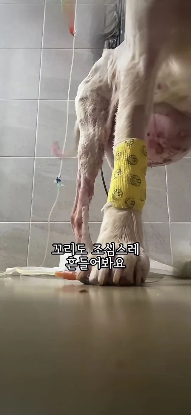 살아갈 의지가 없던게 아니라, 살아갈 기회가 없던 거.. 현장 사진