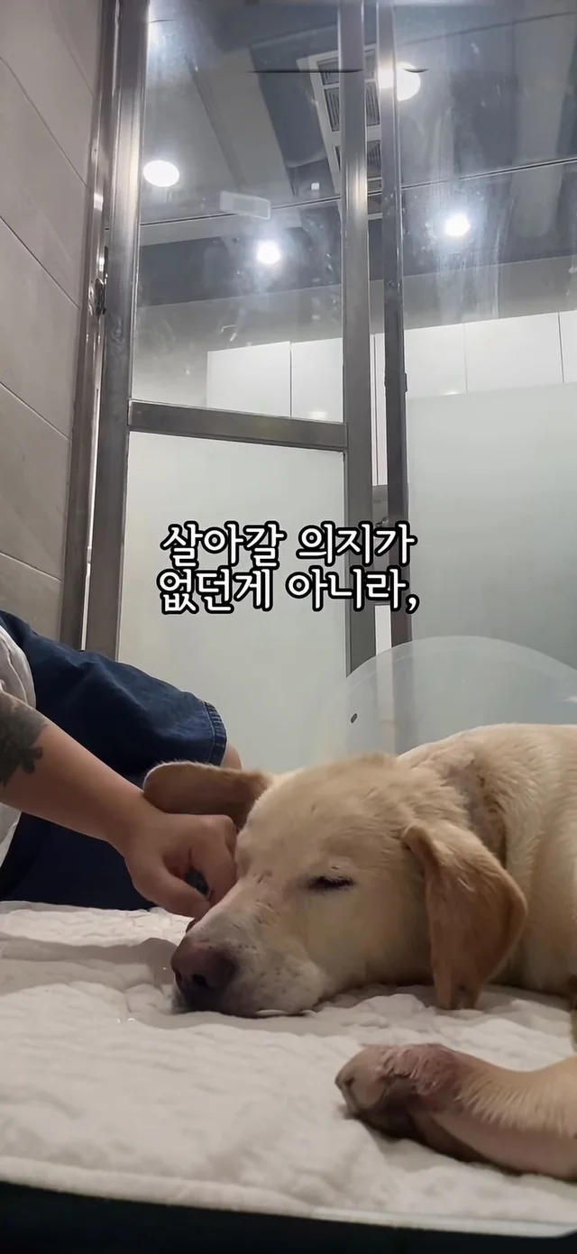 살아갈 의지가 없던게 아니라, 살아갈 기회가 없던 거.. 현장 사진