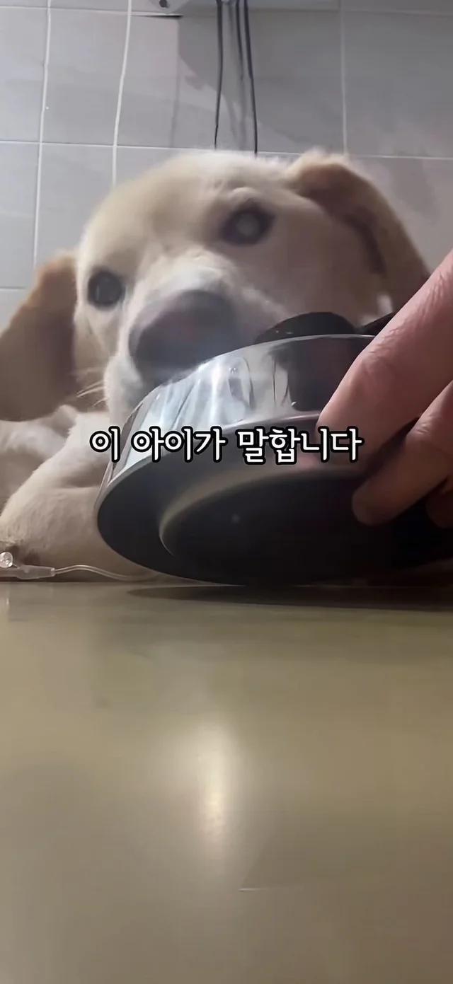 살아갈 의지가 없던게 아니라, 살아갈 기회가 없던 거.. 현장 사진
