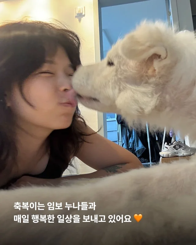 코 없는 개의 근황, 궁금한 사람 모여라! 현장 사진