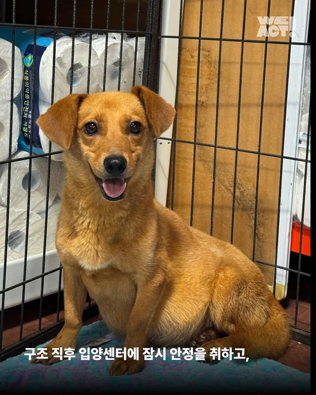 화성시보호소 현장 사진